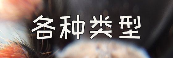 各种类型&重生穿越应有尽有